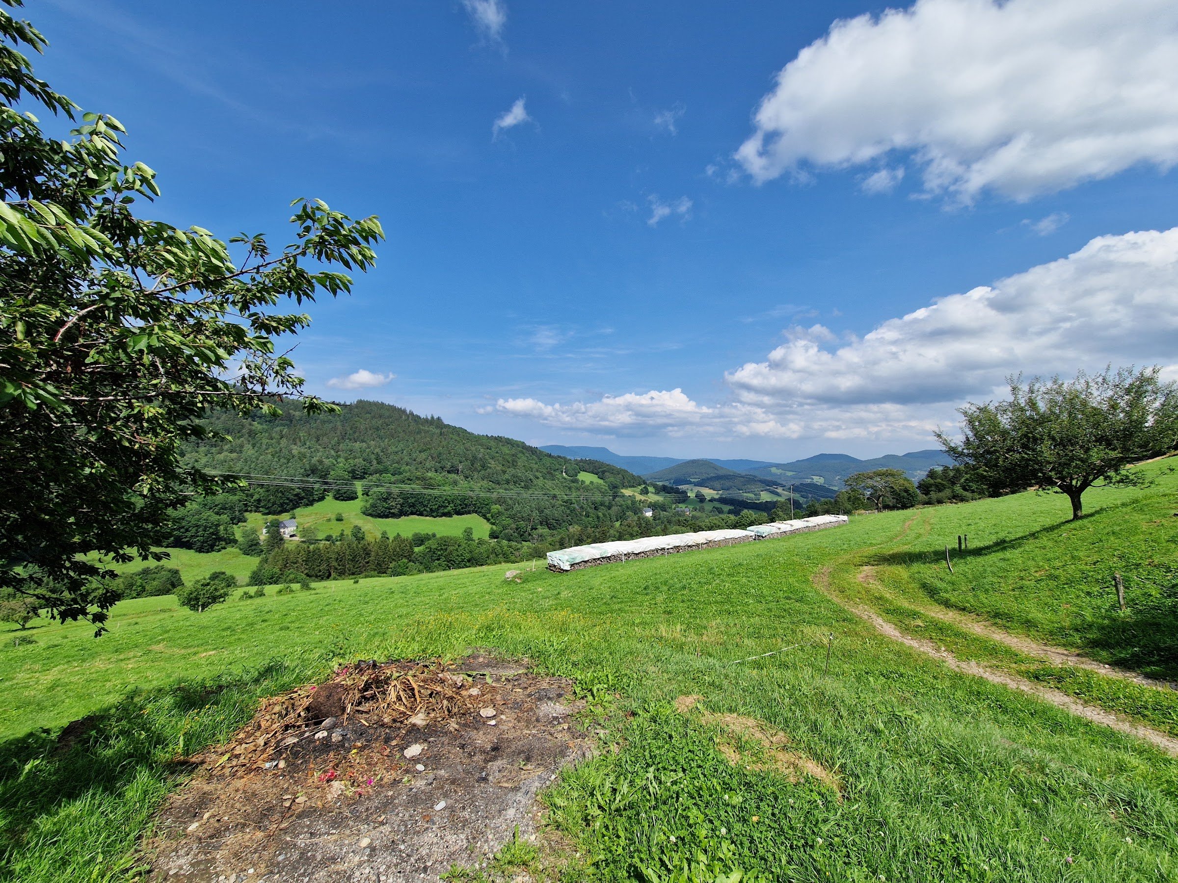 Ferme Auberge du Pré Bracot